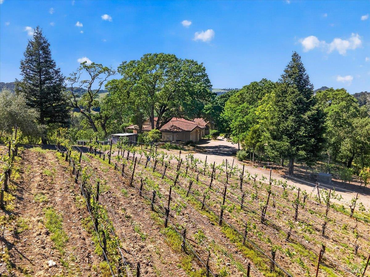 13404 Flora Ranch Road Healdsburg, CA 95448 - Photo 7 of 83