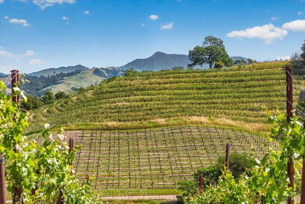 $4,500,000 | 13404 Flora Ranch Road, Healdsburg, CA 95448