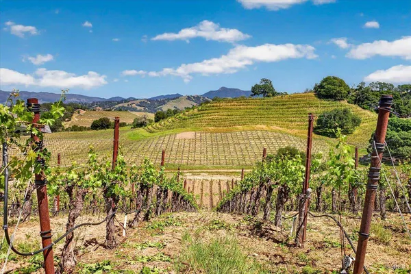 $4,500,000 | 13404 Flora Ranch Road, Healdsburg, CA 95448