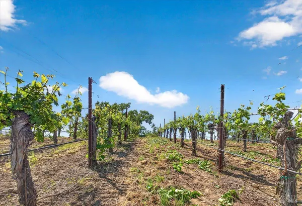 $4,500,000 | 13404 Flora Ranch Road, Healdsburg, CA 95448