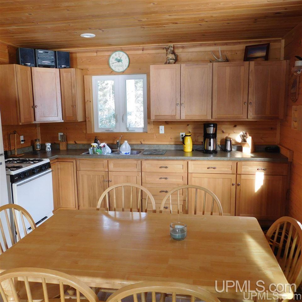 Tbd Lantz Road Ralph, MI 49877 - Photo 17 of 47