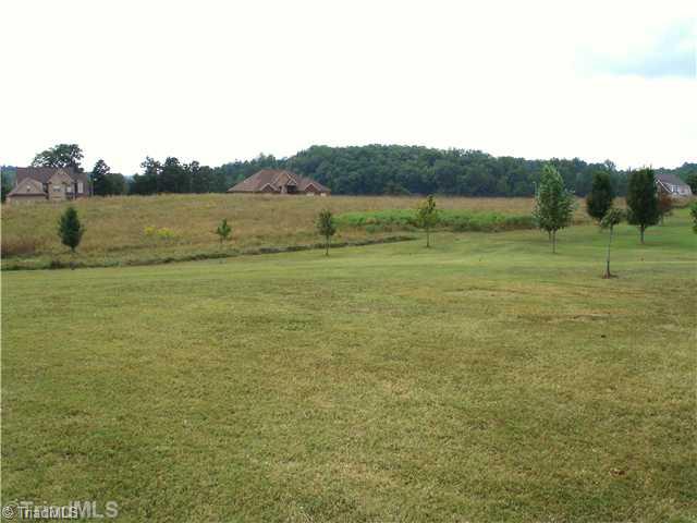 7461 Craigberry Court Rural Hall, NC 27045 - Photo 14 of 16 Other.