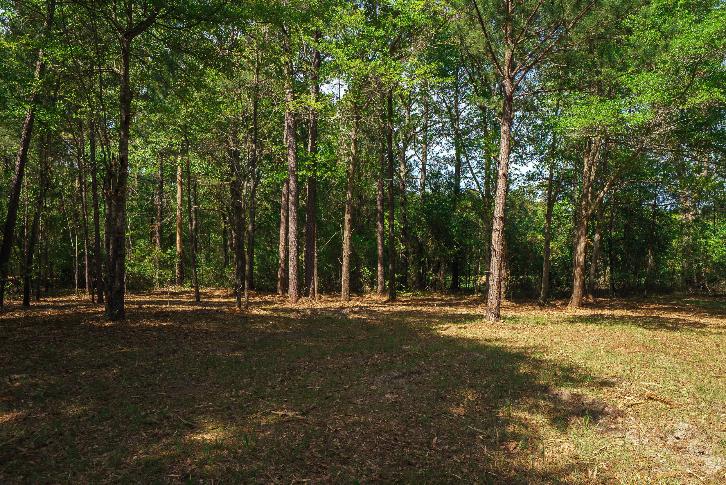Lot 3 Banks Mill Road Southeast Aiken, SC 29803 - Photo 32 of 42