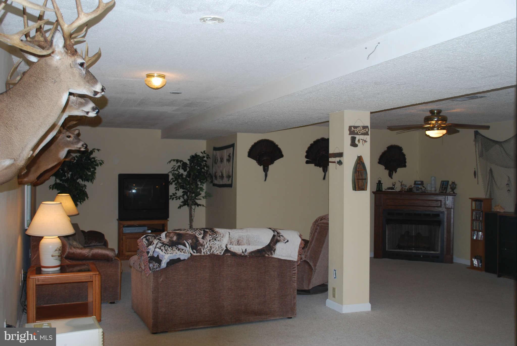 441 Rachaels Way Prince Frederick, MD 20678 - Photo 27 of 30 a living room with furniture and a lamp