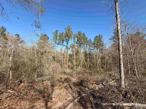 $190,000 | Lot 22 Creek Bluff Drive, Pace, FL 32571