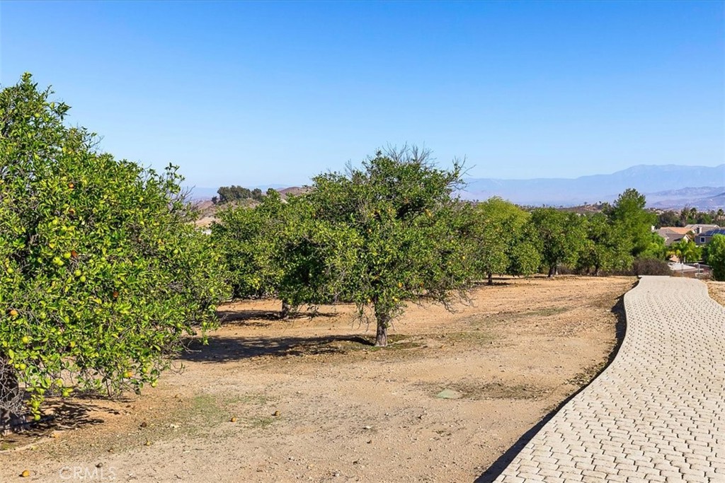 34197 Olive Grove Road Wildomar, CA 92595 - Photo 46 of 59