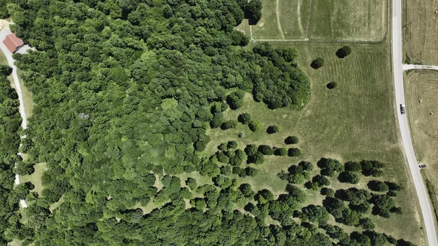an aerial view of a forest with houses