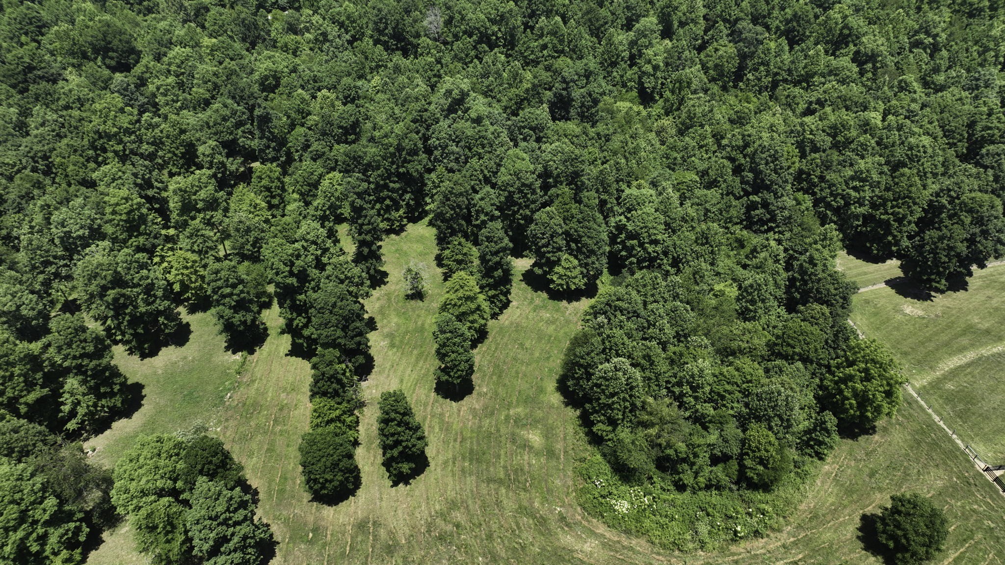 7840 West Lick Creek Road Primm Springs, TN 38476 - Photo 20 of 20 an aerial view of a forest with houses