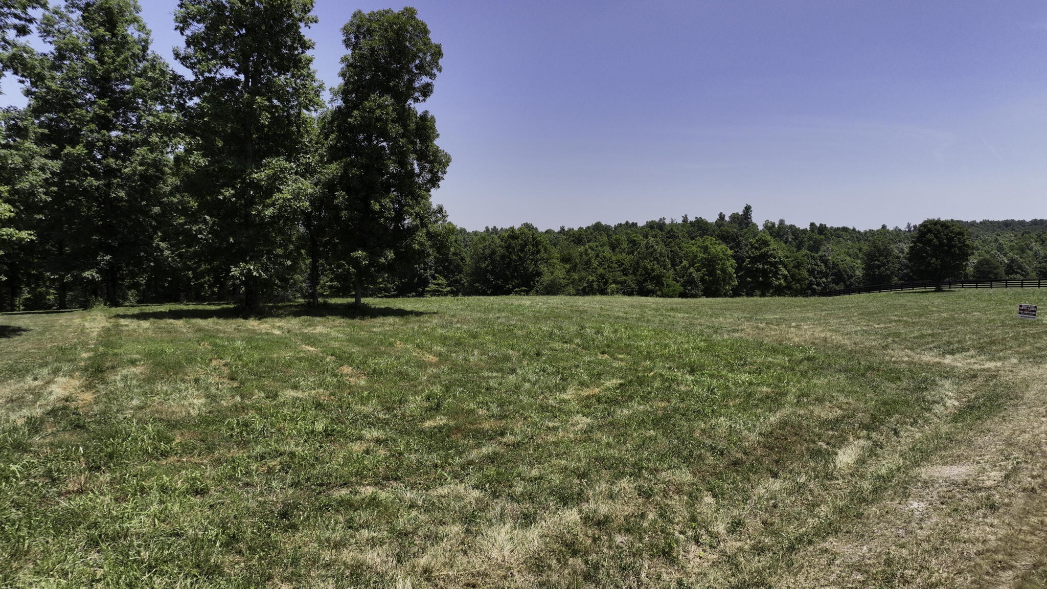 7840 West Lick Creek Road Primm Springs, TN 38476 - Photo 2 of 20 a view of outdoor space with a field and trees in the background