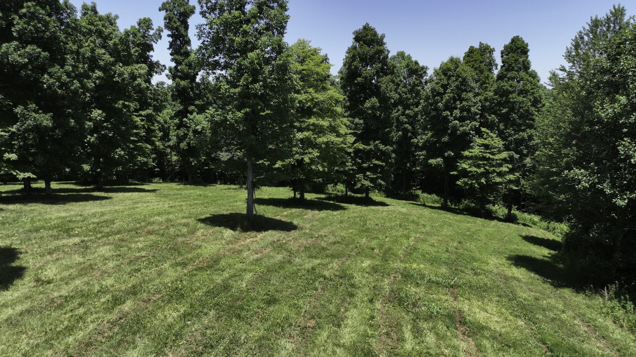 7840 West Lick Creek Road Primm Springs, TN 38476 - Photo 4 of 20 a backyard of a house with lots of green space