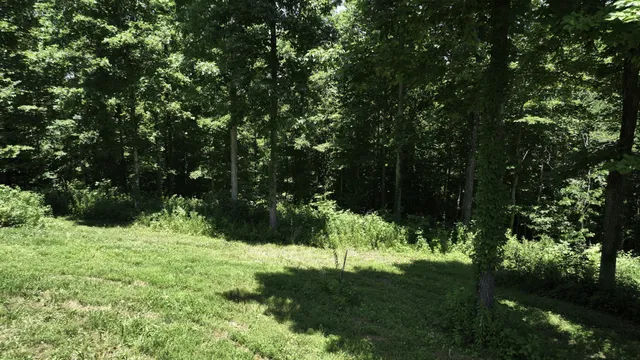 a view of grassy field with trees