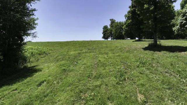 a view of grassy field with trees in the background