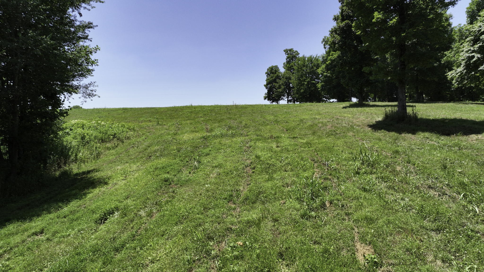 7840 West Lick Creek Road Primm Springs, TN 38476 - Photo 6 of 20 a view of grassy field with trees