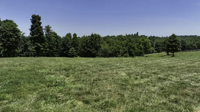 a view of outdoor space with green field and trees