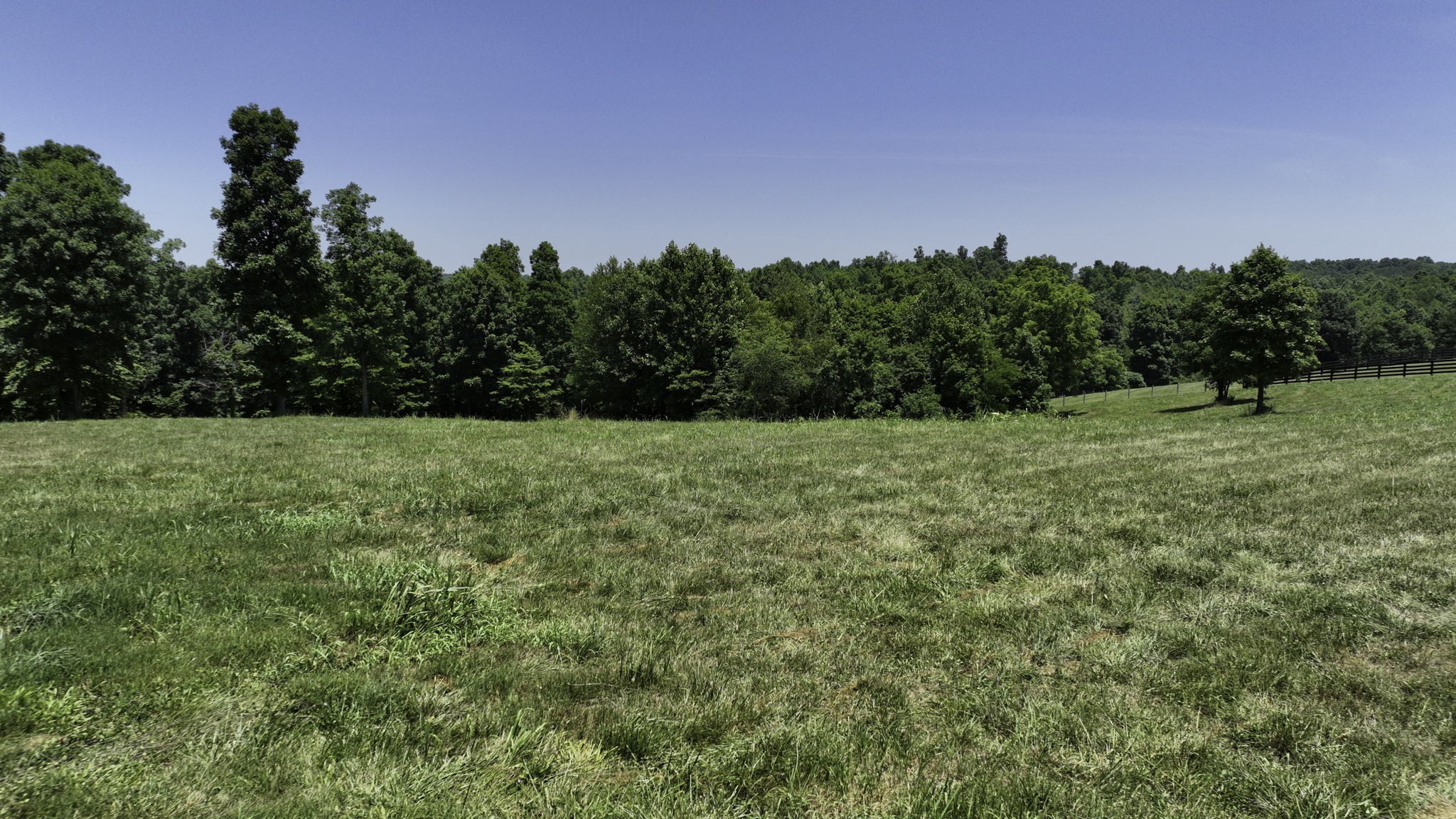 7840 West Lick Creek Road Primm Springs, TN 38476 - Photo 7 of 20 a view of grassy field with trees in the background
