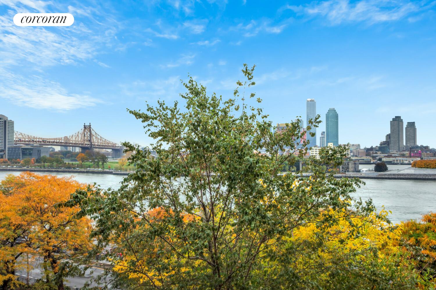 7 Beekman Place, Unit 14 Manhattan, NY 10022 - Photo 19 of 21 a view of a city