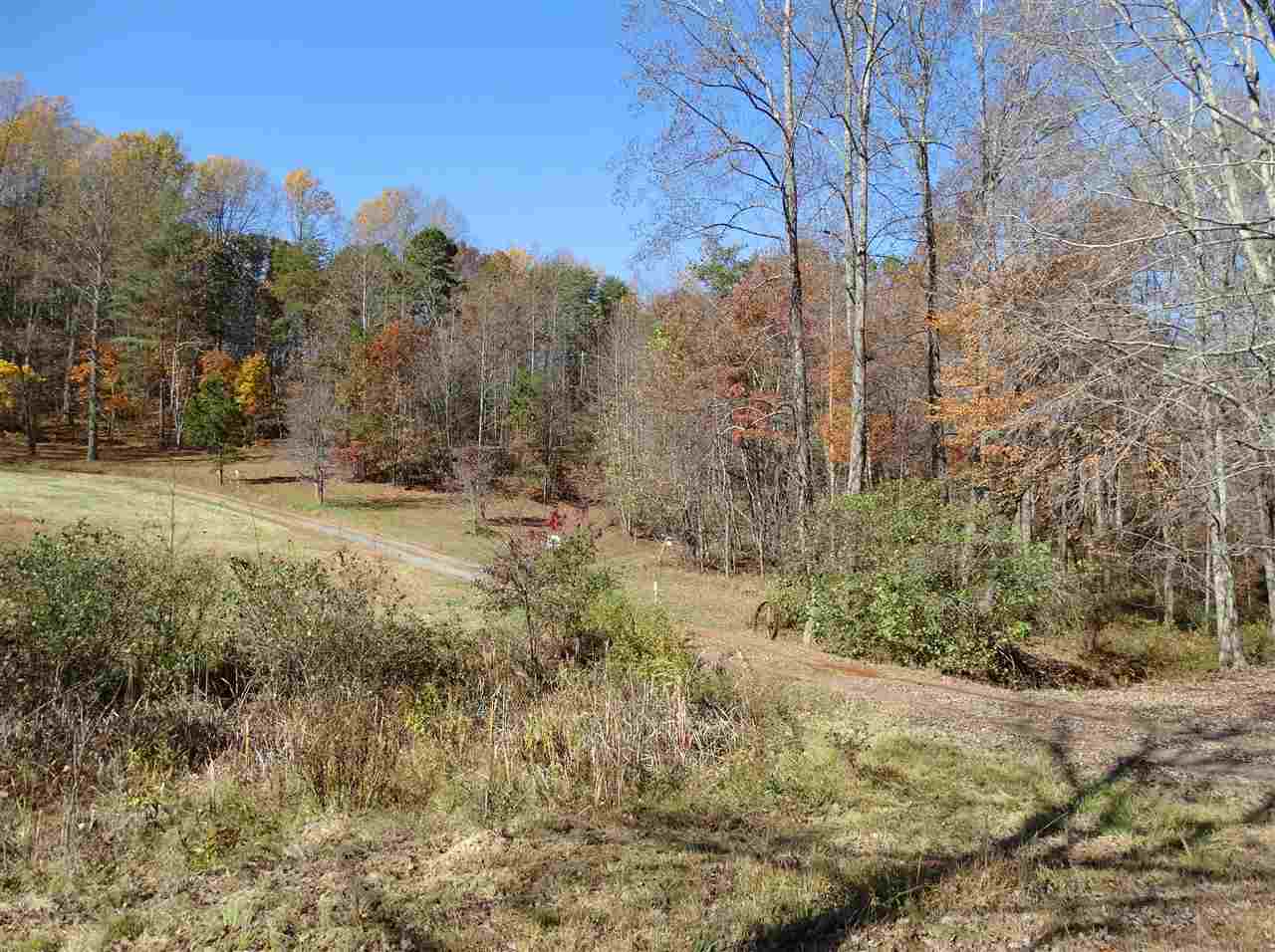 267 Mitchell Mountain Road Reva, VA 22735 - Photo 14 of 19 a view of a yard with trees