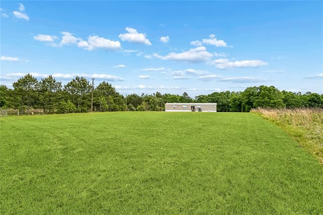 30381 Woodrow Magee Road Franklinton, LA 70438 - Photo 17 of 17
