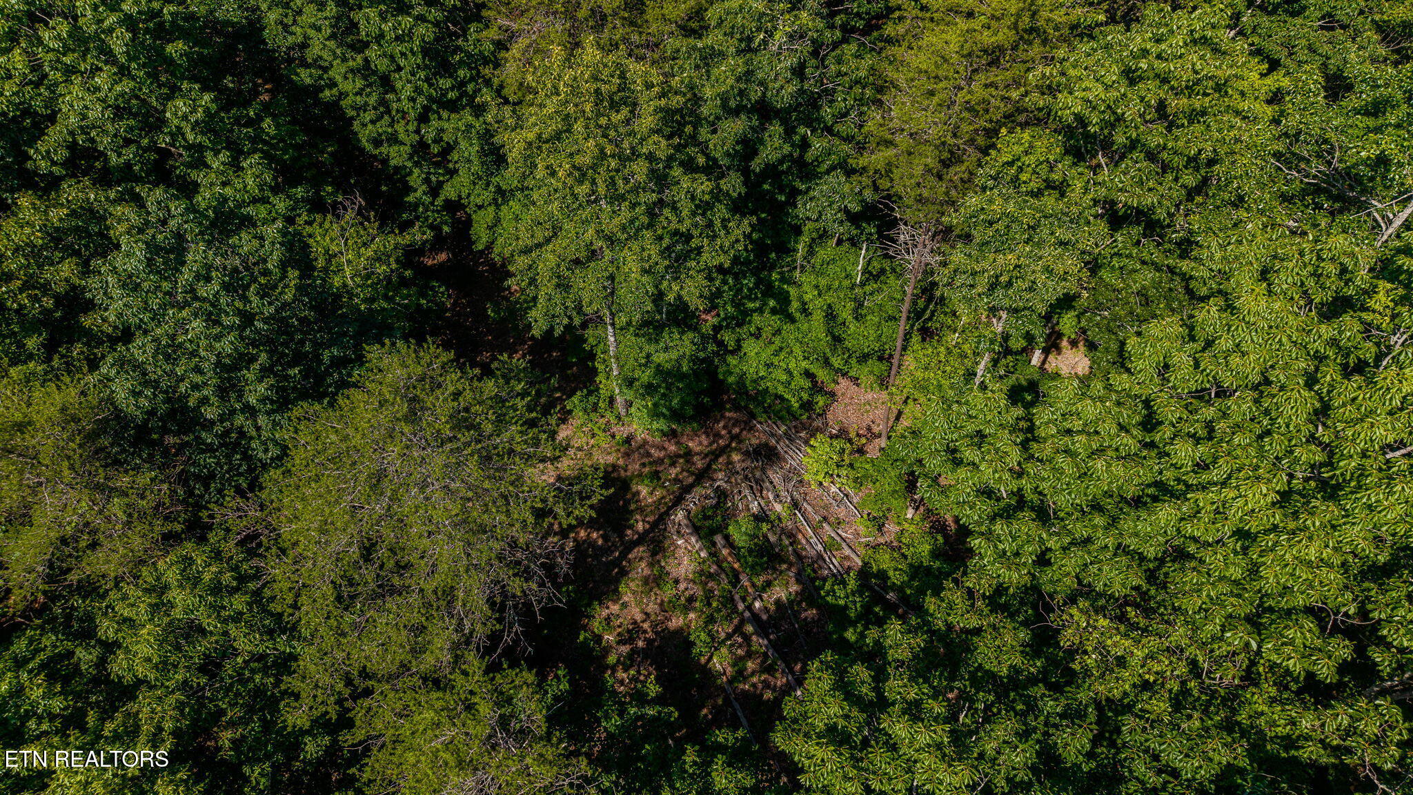 1360 Illuminary Firetower Road, Unit 9 Spring City, TN 37381 - Photo 24 of 30 6-web-or-mls-DJI_20260611105417_0796_D