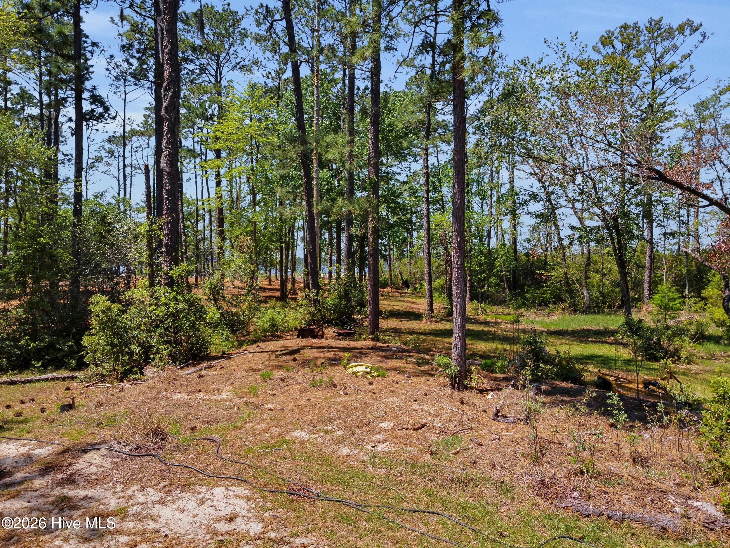 5430 Creek Pointe Road New Bern, NC 28560 - Photo 35 of 47 Back