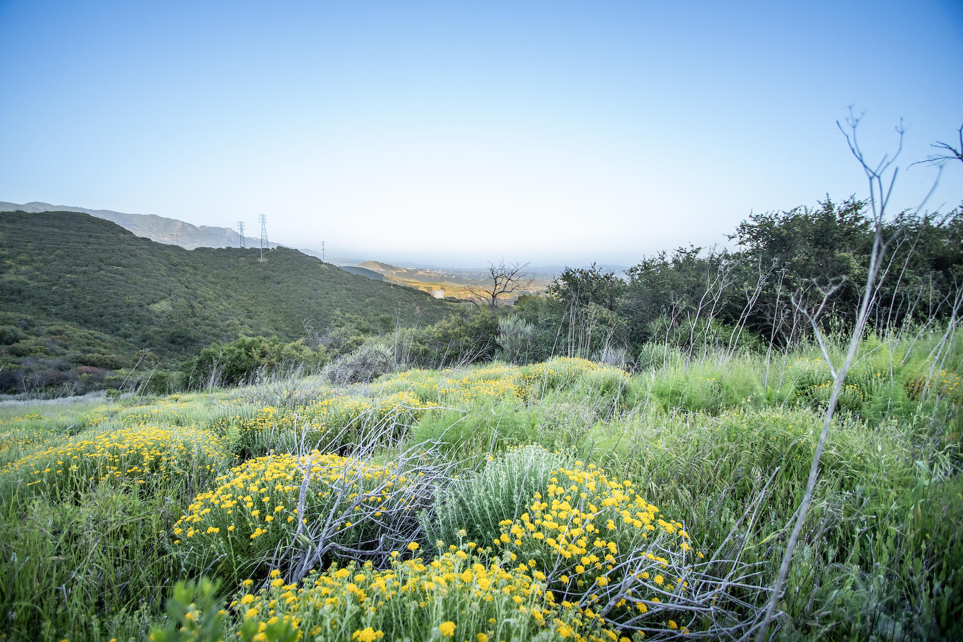 0 North Fairview Avenue Goleta, CA 93117 - Photo 9 of 29 NorthFairviewProperty_A7_26
