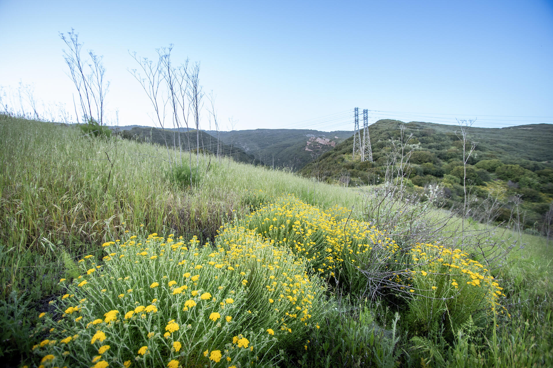 0 North Fairview Avenue Goleta, CA 93117 - Photo 10 of 29 NorthFairviewProperty_A7_27
