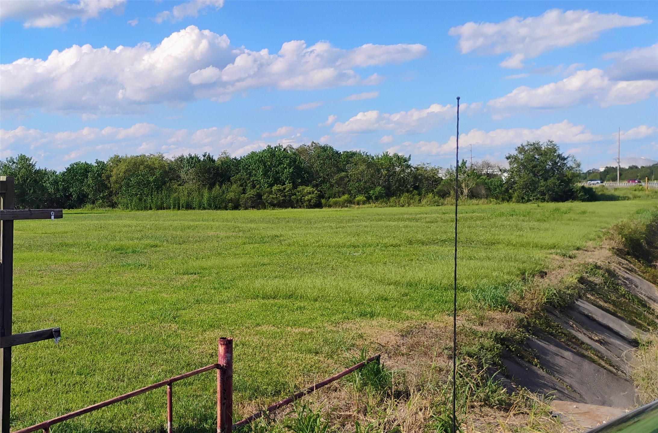 a view of a field with a tree in the background