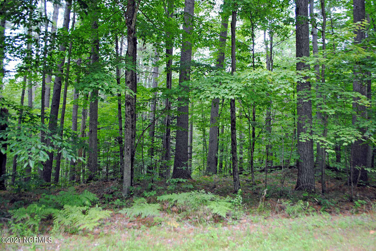 Lot M Elizabeth Road Minnesott Beach, NC 28510 - Photo 1 of 1 HIGHLY ELEVATED BUILDING LOT