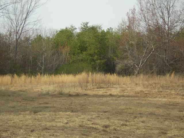 14 Hammons Road Travelers Rest, SC 29690 - Photo 3 of 7