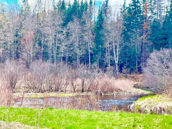 $298,000 | 0 White Road, Dalton, NH 03598