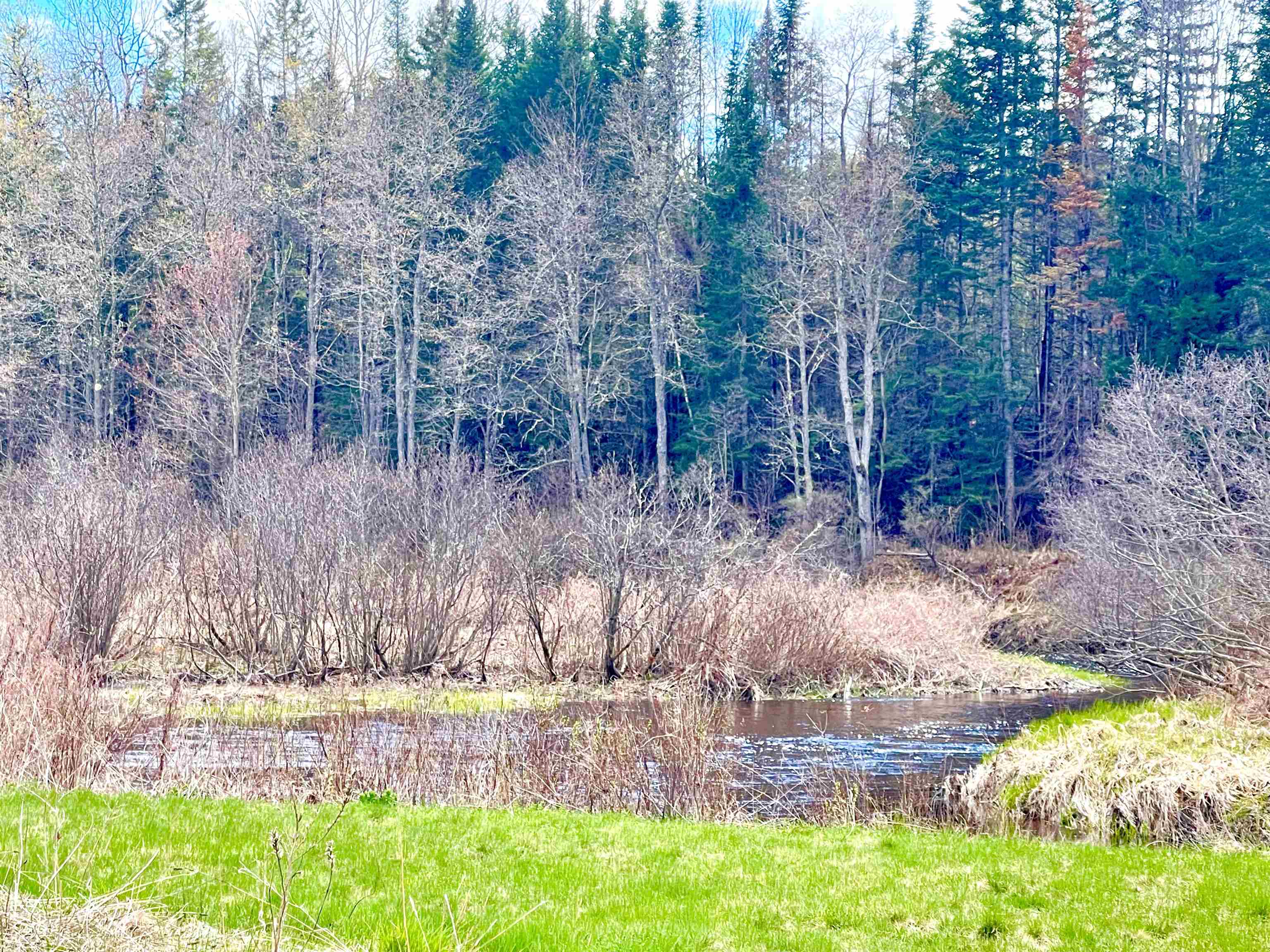 0 White Road Dalton, NH 03598 - Photo 13 of 35