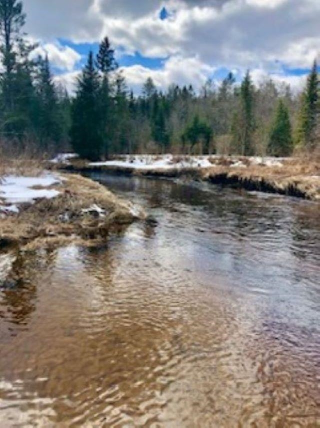 0 White Road Dalton, NH 03598 - Photo 26 of 35