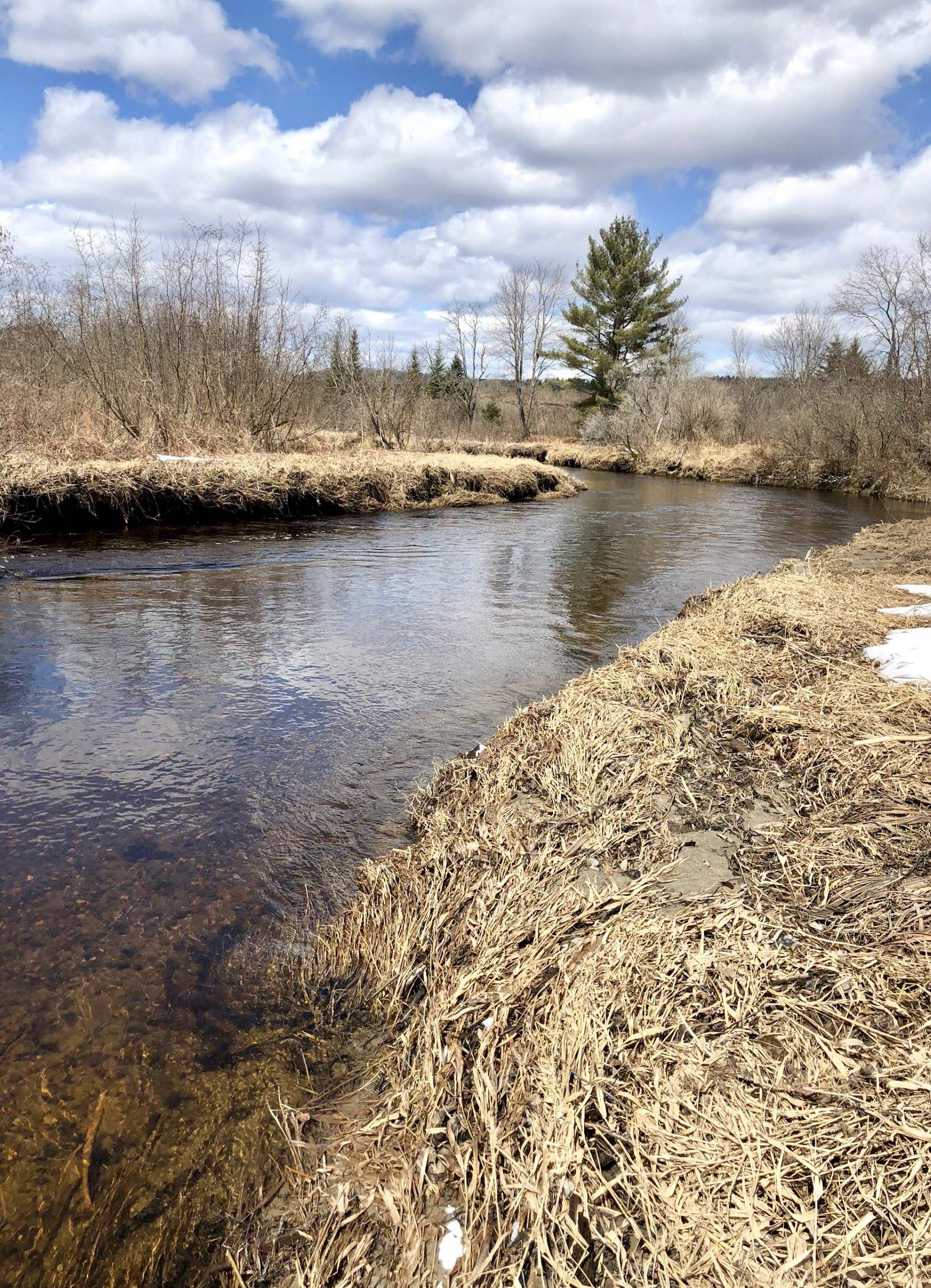 0 White Road Dalton, NH 03598 - Photo 28 of 35