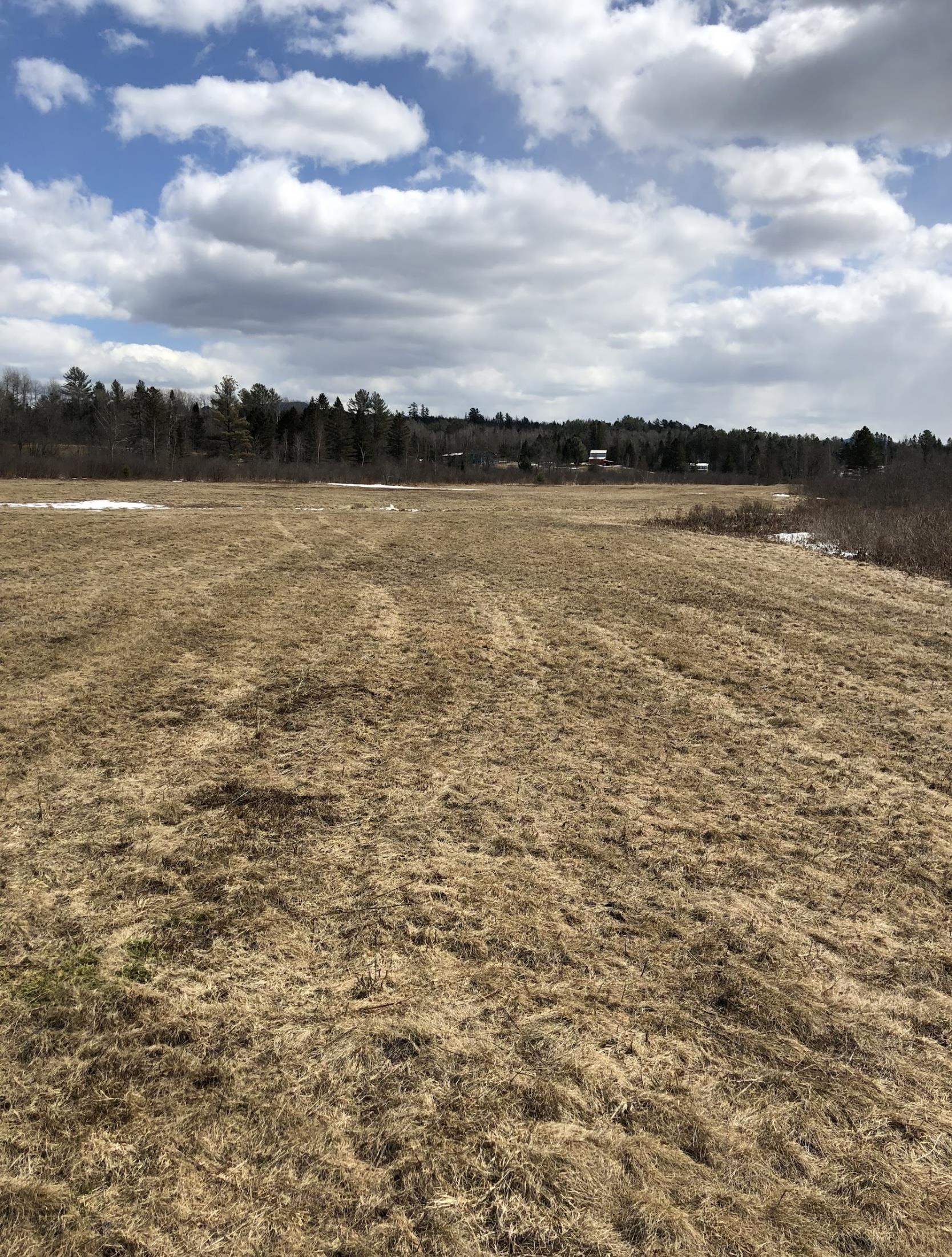 0 White Road Dalton, NH 03598 - Photo 29 of 35