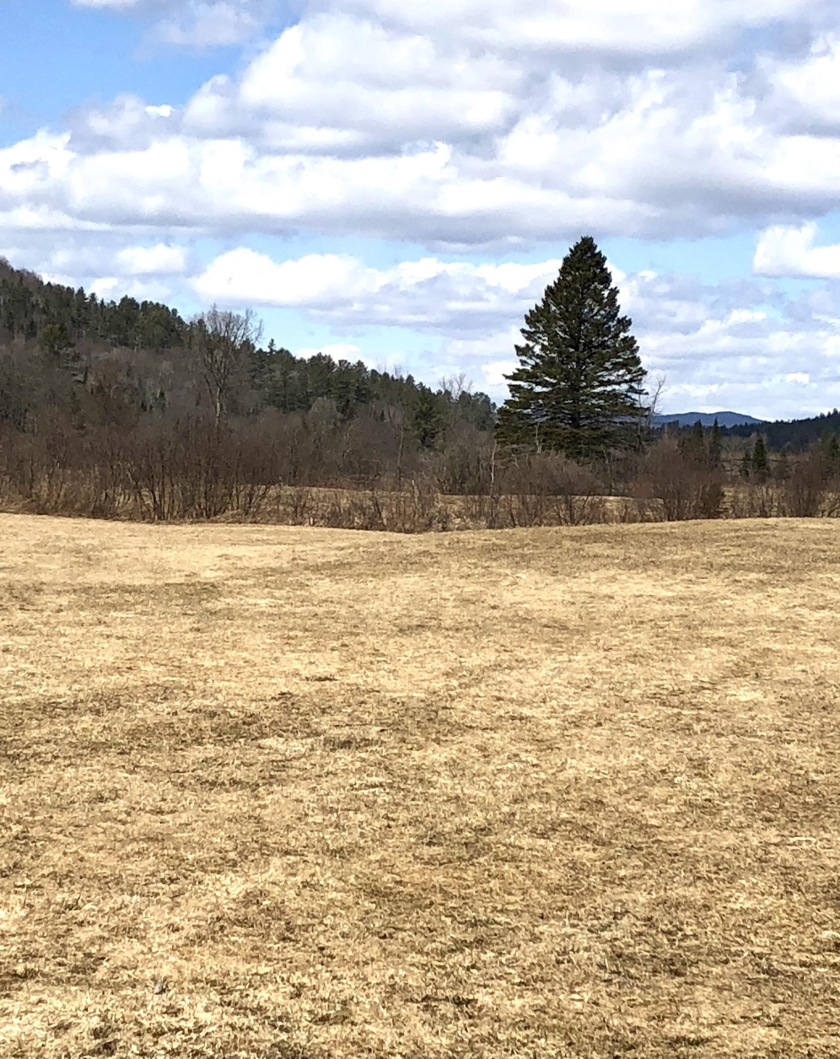 0 White Road Dalton, NH 03598 - Photo 33 of 35