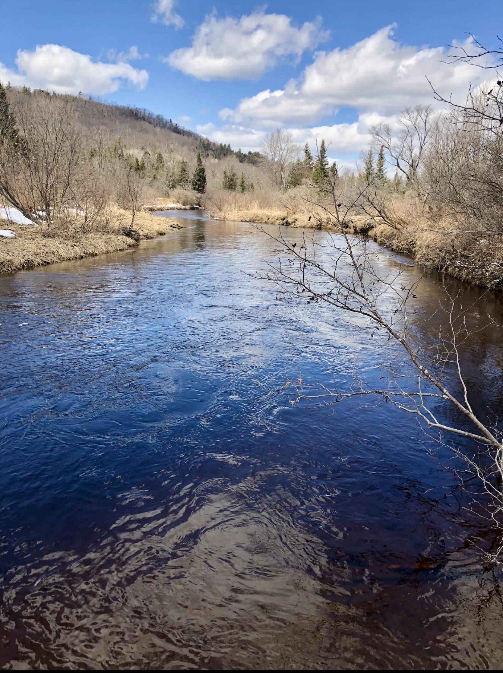 0 White Road Dalton, NH 03598 - Photo 5 of 35