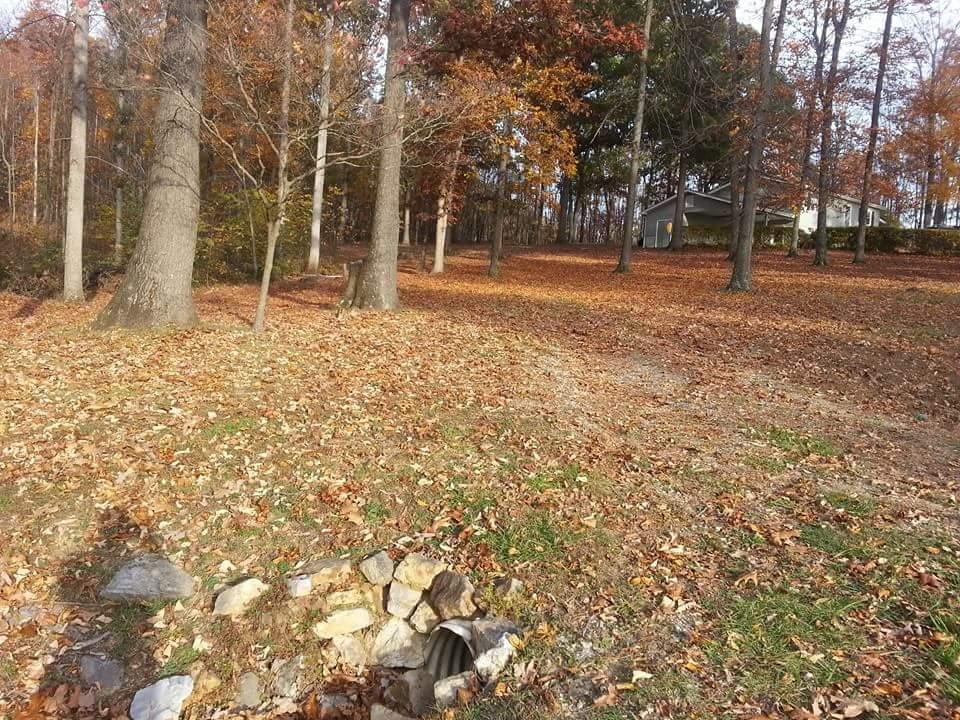 237 Cedar Bluff Road Buchanan, VA 24066 - Photo 12 of 30 Land 4