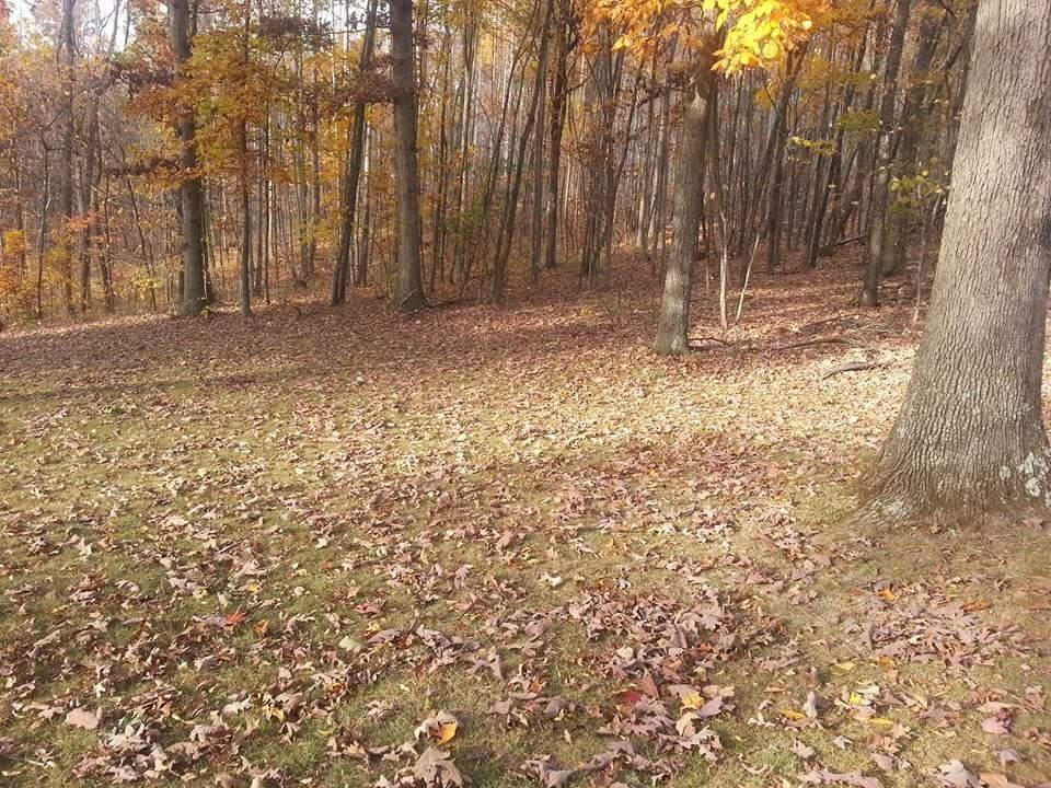 237 Cedar Bluff Road Buchanan, VA 24066 - Photo 13 of 30 Land 5