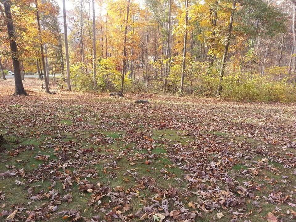 237 Cedar Bluff Road Buchanan, VA 24066 - Photo 14 of 30 Land 6