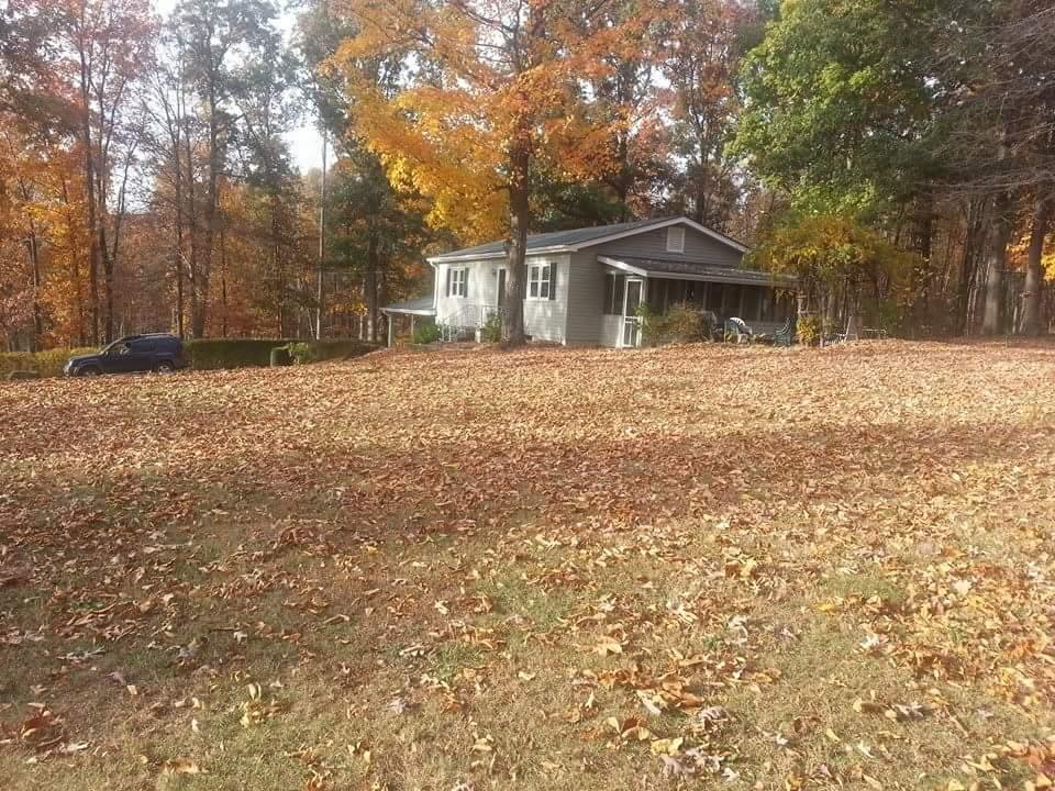 237 Cedar Bluff Road Buchanan, VA 24066 - Photo 16 of 30 Yard 2