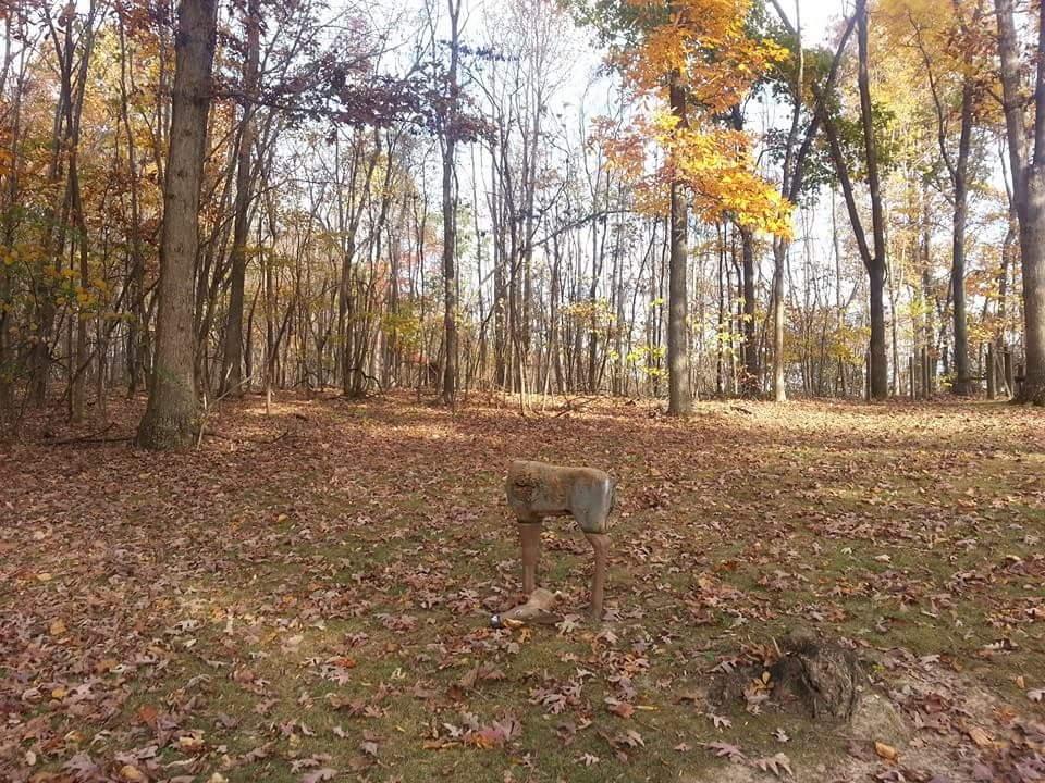 237 Cedar Bluff Road Buchanan, VA 24066 - Photo 18 of 30 Land 7