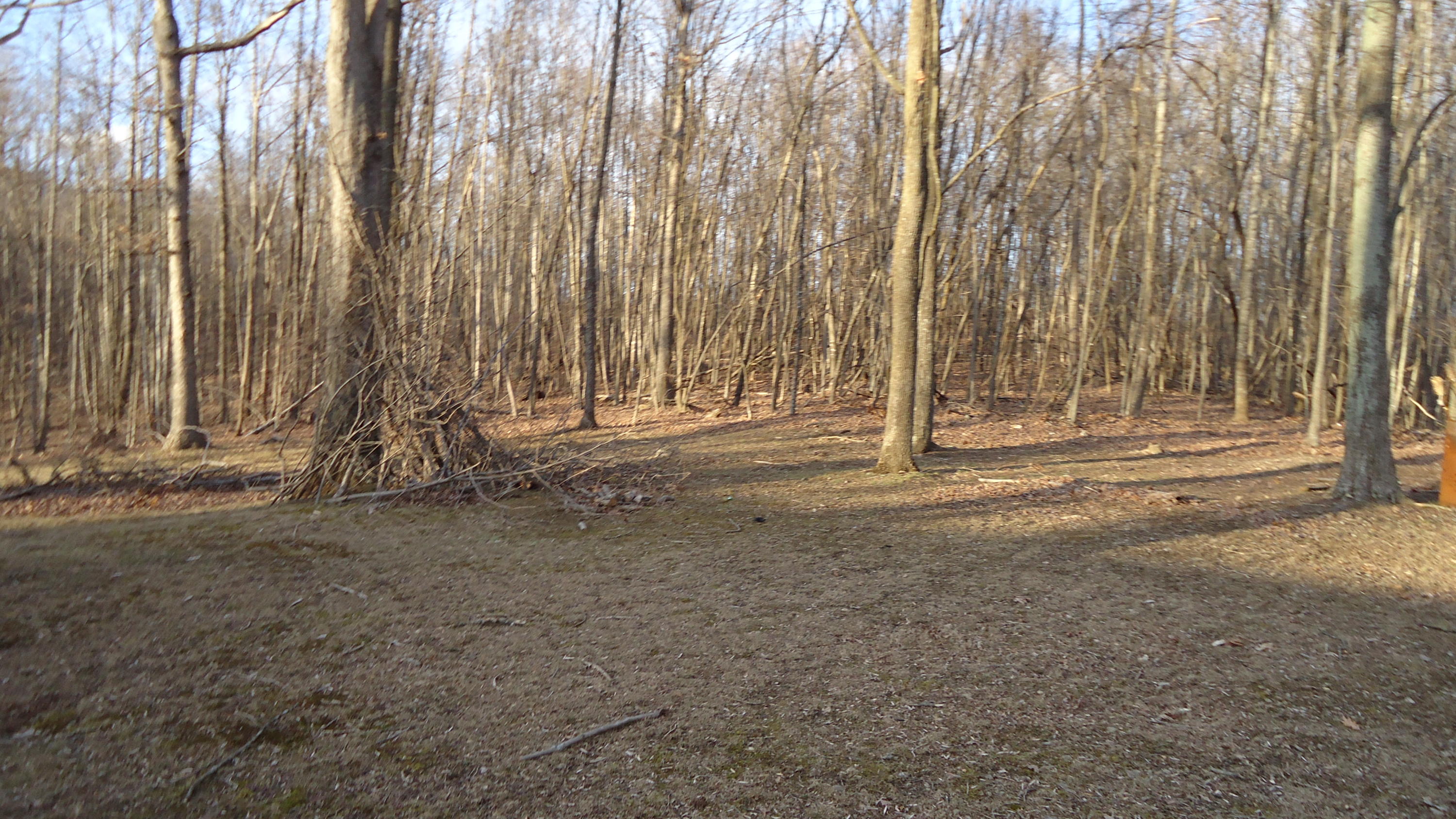 237 Cedar Bluff Road Buchanan, VA 24066 - Photo 20 of 30 Land