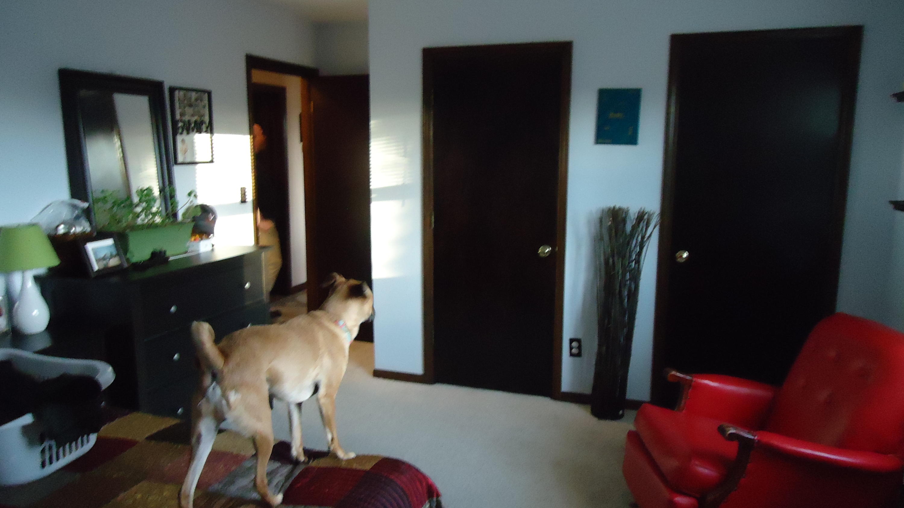 237 Cedar Bluff Road Buchanan, VA 24066 - Photo 26 of 30 Bedroom 2