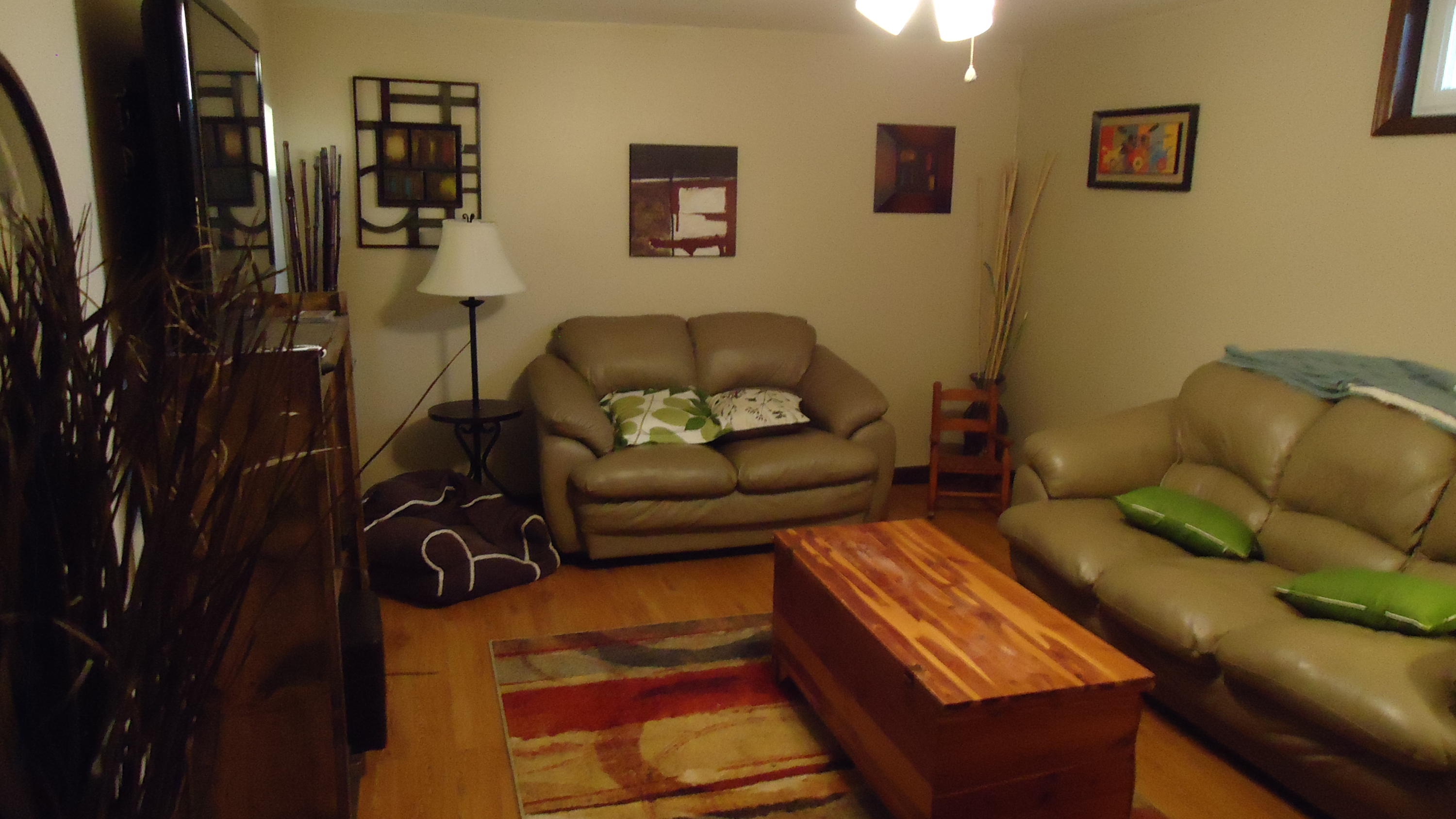 237 Cedar Bluff Road Buchanan, VA 24066 - Photo 28 of 30 Living Room 2