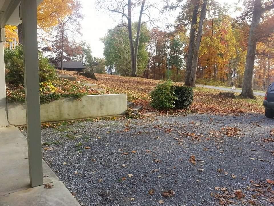237 Cedar Bluff Road Buchanan, VA 24066 - Photo 10 of 30 From Carport