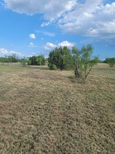 314 Prairie Point Canyon, TX 79015 - Photo 5 of 14 Photo 5