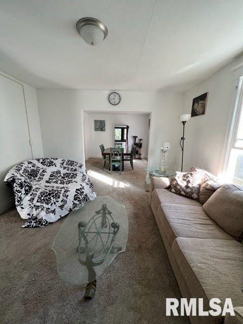 1900 South 1st Street Springfield, IL 62704 - Photo 4 of 14