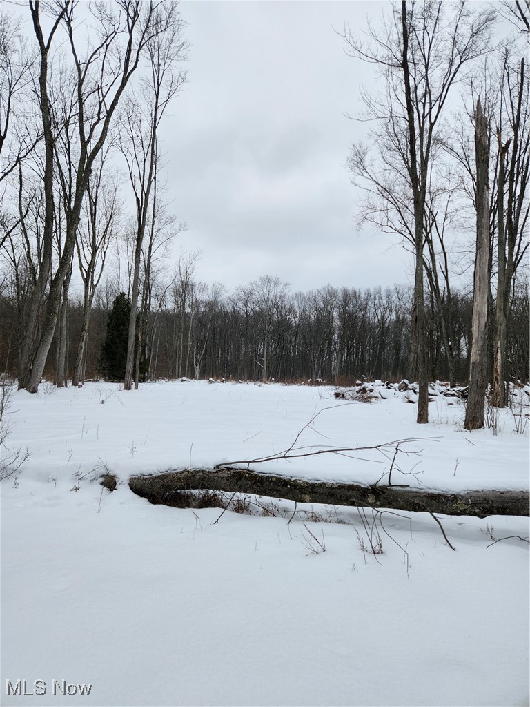 Royalton Road Columbia Station, OH 44028 - Photo 5 of 13 Yard layered in snow featuring a wooded view