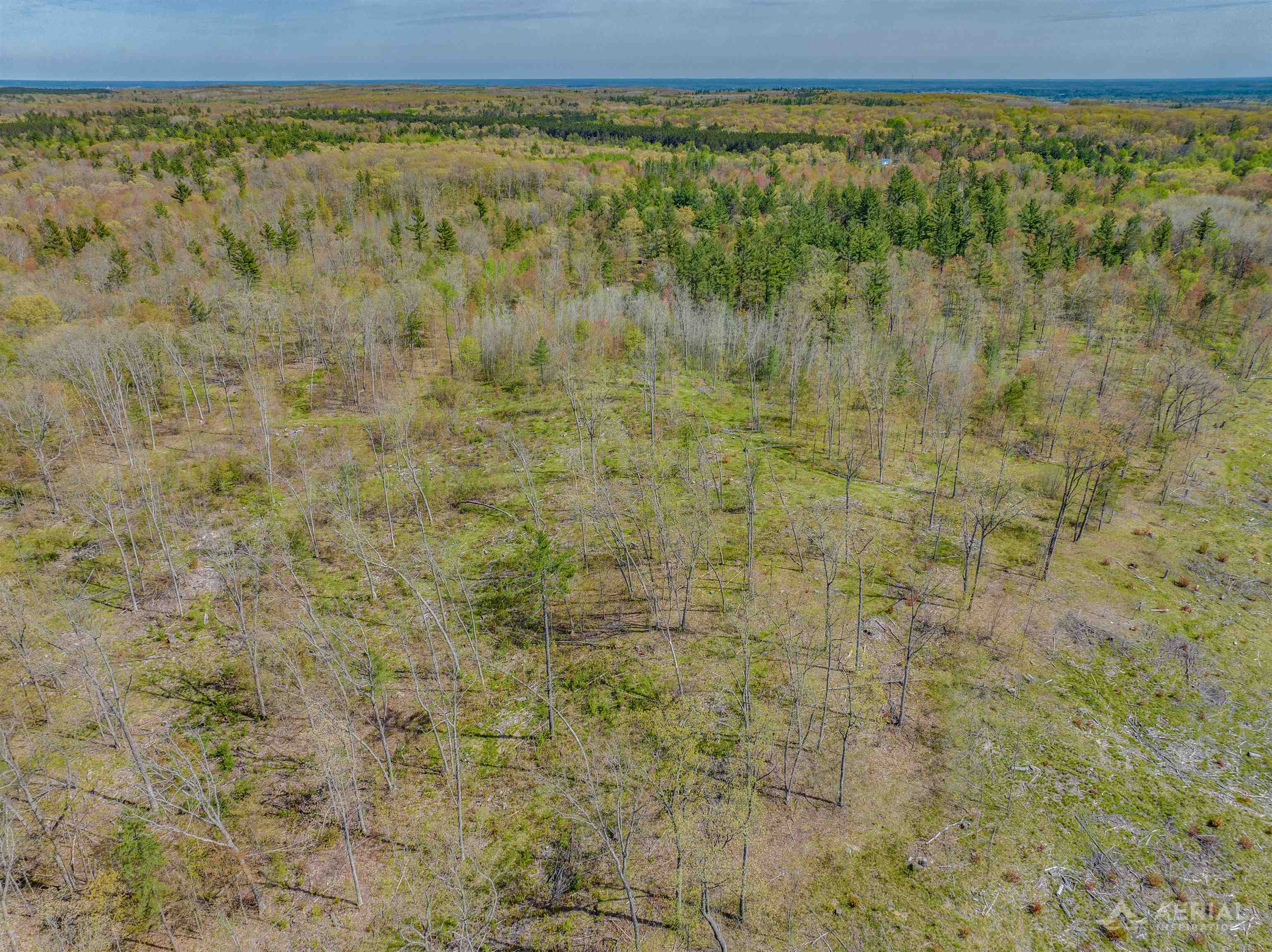 0 Clear Lake Road West Branch, MI 48661 - Photo 3 of 28