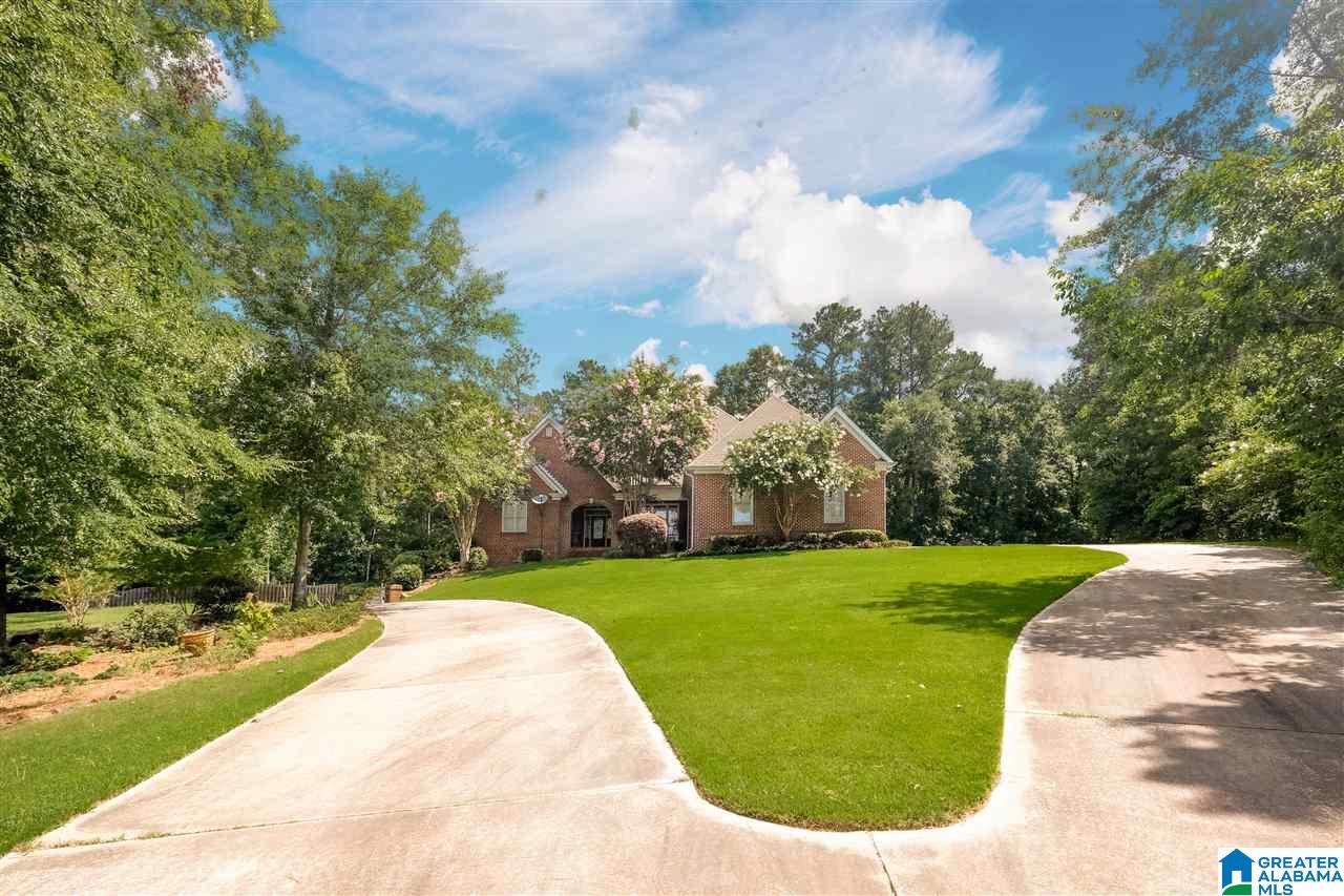 101 Shore Front Lane Wilsonville, AL 35186 - Photo 2 of 49